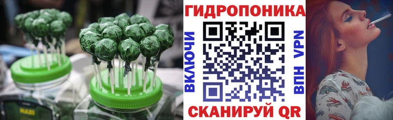дарк нет какой сайт  Дегтярск  Canna-Cookies конопля 