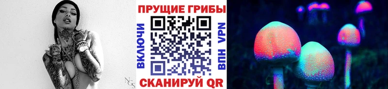 Галлюциногенные грибы прущие грибы Дегтярск